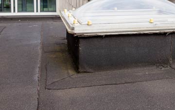 disadvantages of South Bank flat roofs