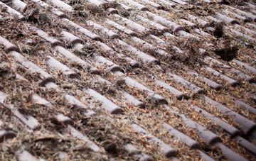 South Bank roof cleaning companies