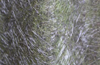 South Bank fibreglass roof work